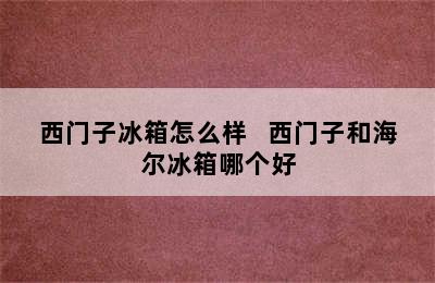 西门子冰箱怎么样   西门子和海尔冰箱哪个好